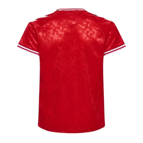 Camiseta Selección Dinamarca Eurocopa 2024 - Imagen 2