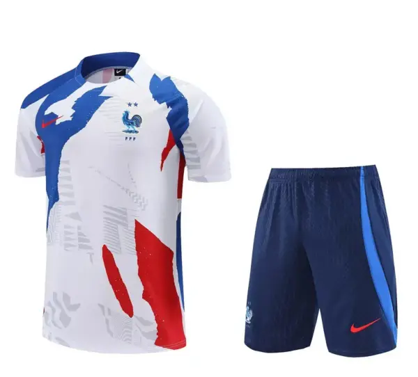 Conjunto de Entrenamiento Selección Francia
